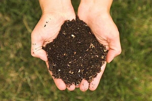 City Compost Giveaway 1